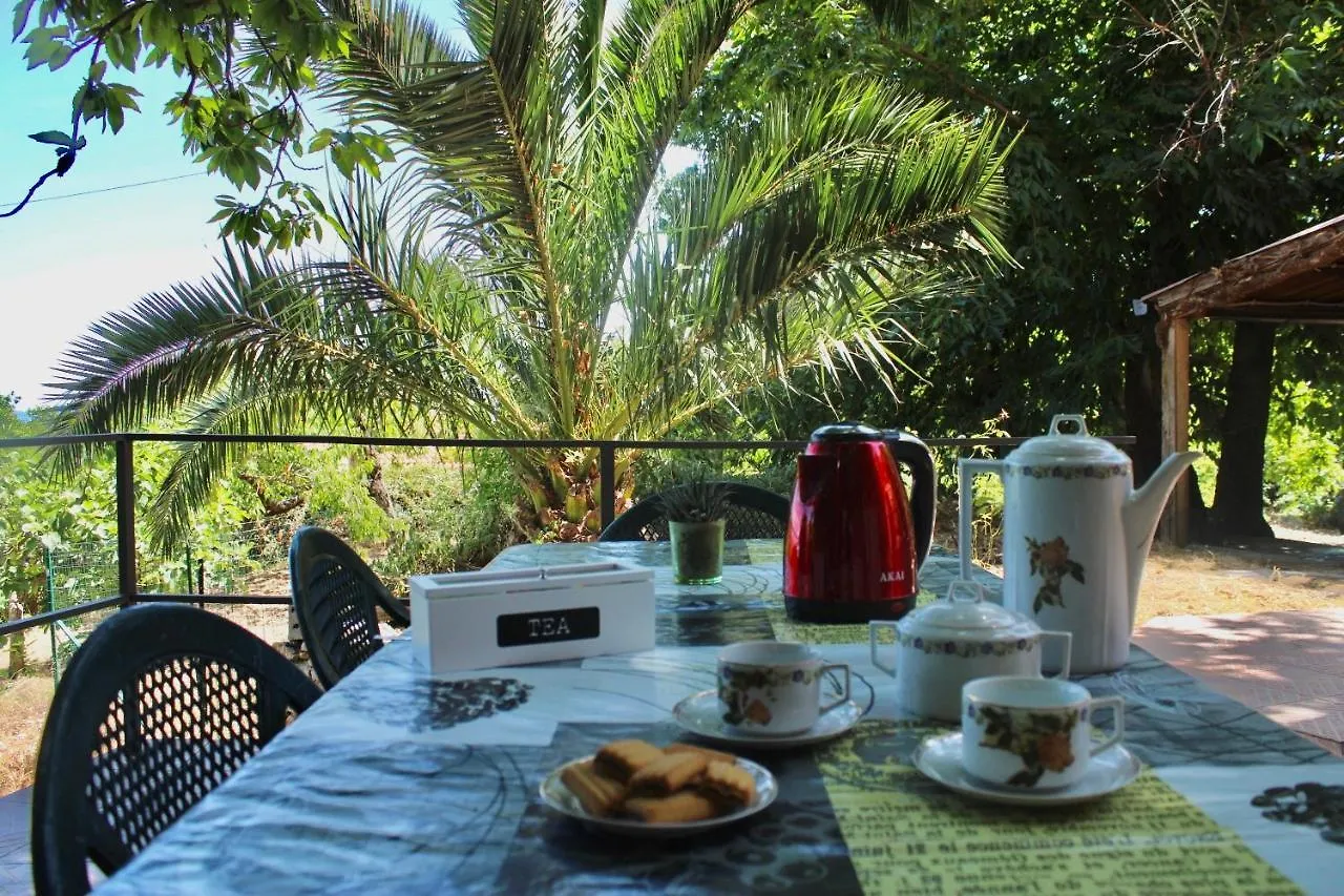 Casa vacanze La Casetta nel Bosco per Turisti Castelbuono