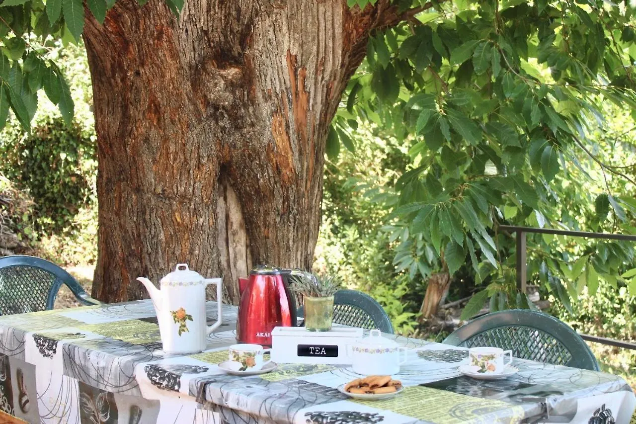 Casa vacanze La Casetta nel Bosco per Turisti Castelbuono